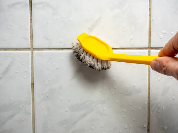 Trusted Hazen, AR Mold Removal Experts