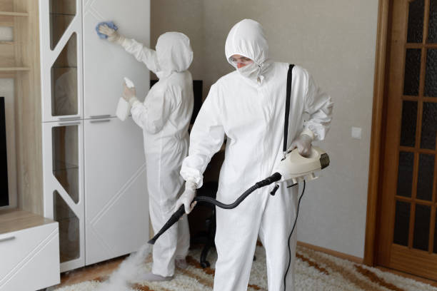 Crawl Space Mold Removal in Hazen, AR